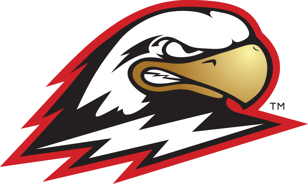 Southern Utah Thunderbirds 2002-Pres Secondary Logo iron on transfers for T-shirts